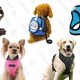 Illustration for article titled The Best Dog Harnesses For Dogs of All Sizes
